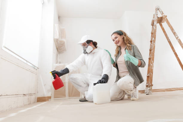 Best Residential Mold Inspection & Testing  in Berkley, MI